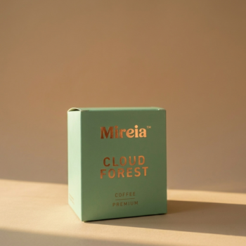 Cloud Forest ~ Coffee Drip