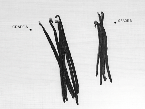 What Is The Difference Between Grade A And Grade B Vanilla Beans ...