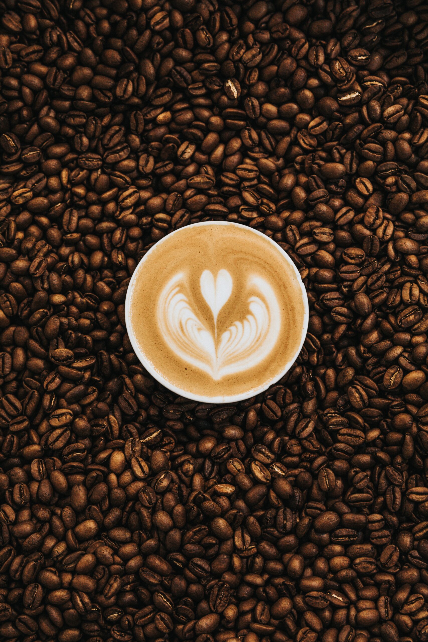 nathan-dumlao-XOhI_kW_TaM-unsplash nathan-dumlao-XOhI_kW_TaM-unsplash